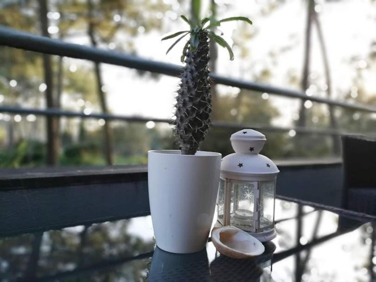 Barca House - Nature - Golf - Pool & Beach Εσποσέντε Εξωτερικό φωτογραφία