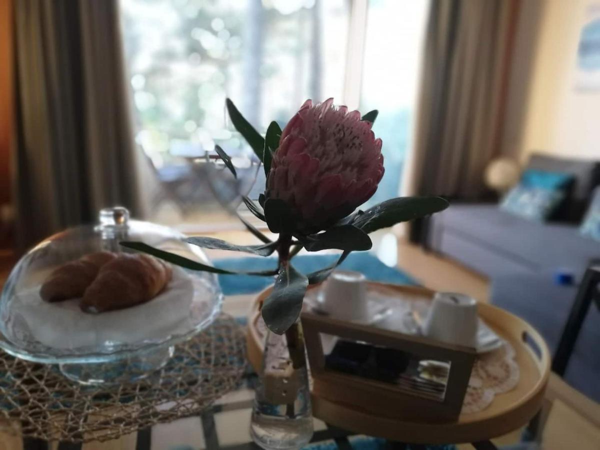 Barca House - Nature - Golf - Pool & Beach Εσποσέντε Εξωτερικό φωτογραφία
